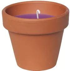 Свічка Candle pot Стандарт 10 x 11 см Коричневий з фіолетовим (000001350) Свічка Candle pot Стандарт 10 x 11 см Коричневий з фіолетовим (000001350)