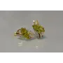 Серебряные серьги Sil с золотыми пластинами 114s-9 Цитрин (Sil-841)