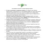 Муравьиная Ферма No Brand Smart Амазонка комплект для новичка Зеленый (hub_prGA87921)