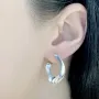 Серебряные серьги SilverBreeze без камней (2032045)