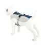 Шлей для собак TUFF HOUND TH00205 Синій M літня дихаюча (5705-16455)