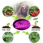 Світлодіодна ФітоЛента GrowLight для кімнатних рослин 5V USB 2835 1 м (L363F)