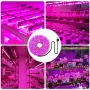 Світлодіодна ФітоЛента GrowLight для кімнатних рослин 5V USB 2835 2 м (L364F)