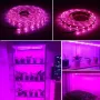 Світлодіодна ФітоЛента GrowLight для кімнатних рослин 5V USB 2835 2 м (L364F)