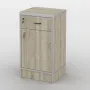 Тумба офісна Тиса Мебель ТМ-109 1 Сонома 76x35x40 см