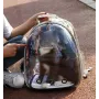 Рюкзак переноска Pet Cat для домашних животных 43х32х28 см Голограмма ( код: IBH007S )
