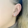 Серебряные серьги SilverBreeze с фианитами (2080046)