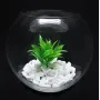 Ваза-акваріум Pasabahce Куля Botanica h-16 см 45068