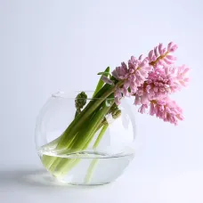 Ваза-аквариум Pasabahce Шар Botanica h-16 см 45068 Ваза-аквариум Pasabahce Шар Botanica h-16 см 45068