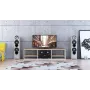 Тумба підставка для TV у стилі Loft NS-2100 480x1800x400 мм Черный