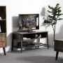 Тумба підставка для TV у стилі Loft NS-2106 530x1000x400 мм Черный