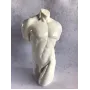 Статуетка декоративна Торс чоловіка 25 см. Unicorn Studio AL86328