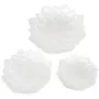 Фарфоровые блюда Bona Flower в наборе 2 штуки 30.5см DP115008