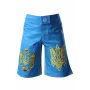 Шорти MMA Berserk Sport Hetman Kids Синій 4XS