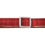 Шлея для собак с поводком Pipitao Cage 1.5*120 см Red (8918-35857)