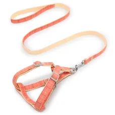 Шлея для собак с поводком Pipitao Cage Peach 1.5*120 cm (8919-35854)