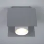 Точечный светильник BONN 1 SI/WH Imperium Light 316112.22.01