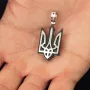 Серебряный кулон Герб Украины - Тризуб с эбеновым деревом 959 Оникс