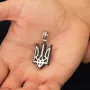 Серебряный кулон Герб Украины - Тризуб с эбеновым деревом 959 Оникс
