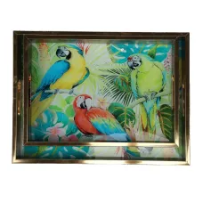 Комплект підносів Parrots 40х30 см із 2 штук Lefard AL121002