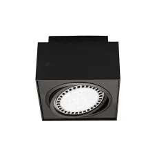 Точечный светильник ZUMALINE 20074-BK Boxy