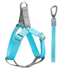 Шлея для собак и кошек с поводком Taotaopets 171120 L 1120 мм Голубой (10460-55542)