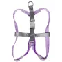 Шлея для собак или кошек с поводком Taotaopets 171120 M 1.5 cm 1150 мм Фиолетовый (10460-55533)