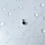 Серебряная подвеска SilverBreeze с сапфиром 0.643ct (2143291)