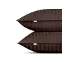 Двоспальна постіль сатин з простирадлом на гумці WALNUT CS1 Cosas Шоколад 180х220 см
