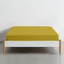 Двоспальна постіль з простирадлом на гумці Cosas Summer Garden 180х220 см Різнокольоровий