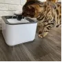 Поилка-фонтан для животных Pet Water Fountain автоматическая USB White (3_03717)