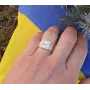 Печатка ремень Maxi Silver 2660 SE 15.5