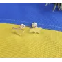 Пусеты карта Украины Maxi Silver 9192