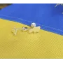 Пусеты карта Украины Maxi Silver 9192