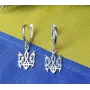 Серьги герб Maxi Silver 9162