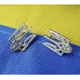 Сережки герб Украины Maxi Silver 9161