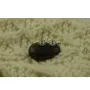 Сережки с овальным камнем Maxi Silver 8159