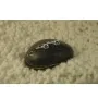 Серьги из Maxi Silver 7957