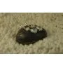 Длинные серьги Maxi Silver 7954