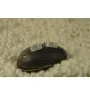 Серьги дорожка Maxi Silver 7939