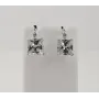 Сережки с большим камнем Maxi Silver 7935
