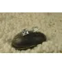 Сережки с большим камнем Maxi Silver 7935