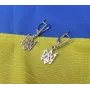 Сережки с гербом Украины Maxi Silver 5652