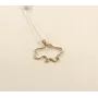 Кулон с картой Украины Maxi Silver 9168