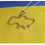 Кулон с картой Украины Maxi Silver 9168