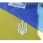 Кулон Большой кулон тризуб Украины Maxi Silver 9166