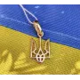 Кулон тризуб Украины Maxi Silver 9144