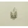 Кулон герб Украины Maxi Silver 8960