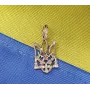 Кулон Украинский герб Maxi Silver 7450