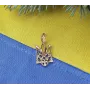 Кулон Украинский герб Maxi Silver 7450